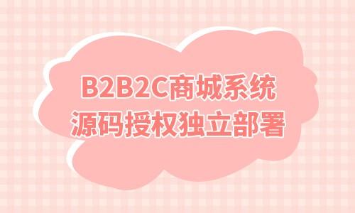 b2b2c网站建设 - 商淘云